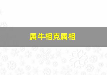 属牛相克属相