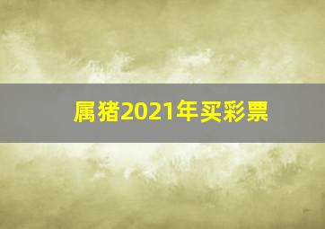 属猪2021年买彩票