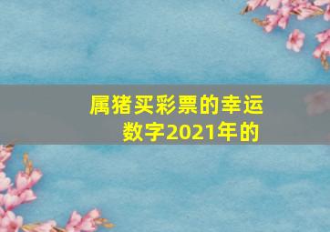 属猪买彩票的幸运数字2021年的