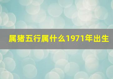 属猪五行属什么1971年出生