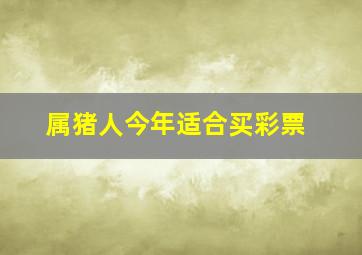 属猪人今年适合买彩票