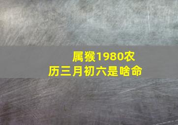 属猴1980农历三月初六是啥命