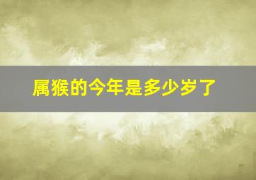 属猴的今年是多少岁了