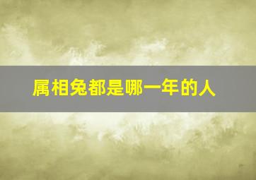 属相兔都是哪一年的人