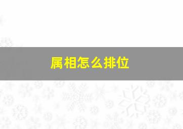 属相怎么排位