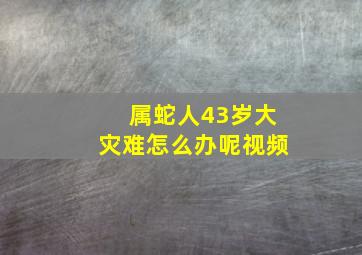 属蛇人43岁大灾难怎么办呢视频