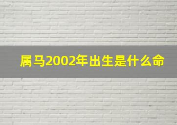 属马2002年出生是什么命