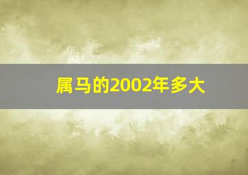 属马的2002年多大