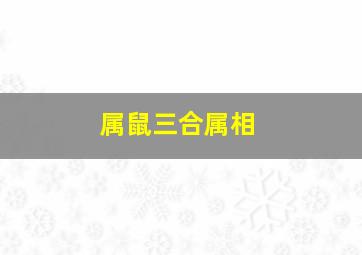 属鼠三合属相