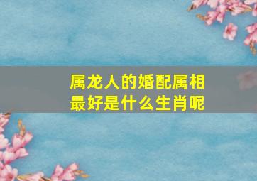 属龙人的婚配属相最好是什么生肖呢