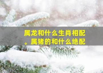 属龙和什么生肖相配。属猪的和什么绝配