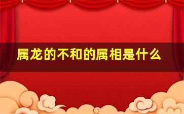 属龙的不和的属相是什么