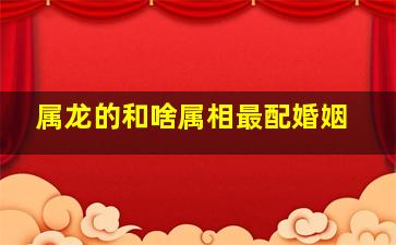 属龙的和啥属相最配婚姻