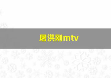 屠洪刚mtv