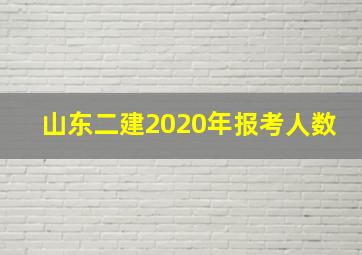 山东二建2020年报考人数