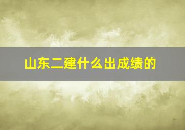 山东二建什么出成绩的