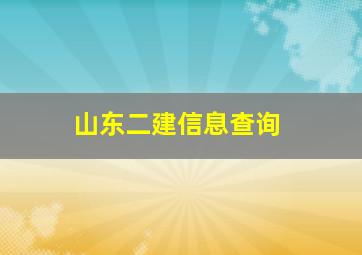 山东二建信息查询