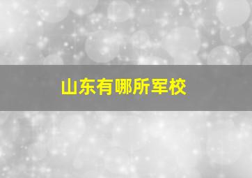 山东有哪所军校