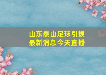 山东泰山足球引援最新消息今天直播