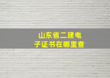 山东省二建电子证书在哪里查