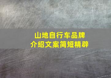 山地自行车品牌介绍文案简短精辟