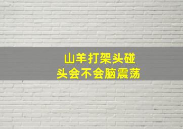 山羊打架头碰头会不会脑震荡