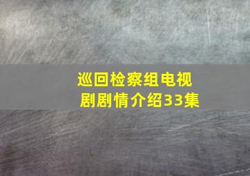 巡回检察组电视剧剧情介绍33集