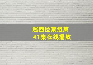 巡回检察组第41集在线播放