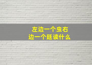 左边一个虫右边一个廷读什么