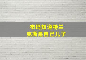 布玛知道特兰克斯是自己儿子