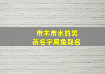 带木带水的男孩名字属兔取名