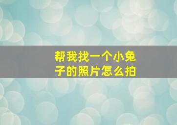 帮我找一个小兔子的照片怎么拍