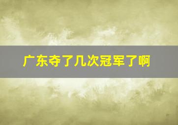 广东夺了几次冠军了啊