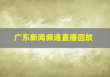 广东新闻频道直播回放