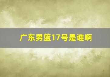 广东男篮17号是谁啊