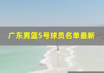 广东男篮5号球员名单最新