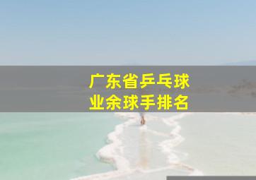 广东省乒乓球业余球手排名