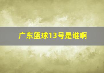 广东篮球13号是谁啊