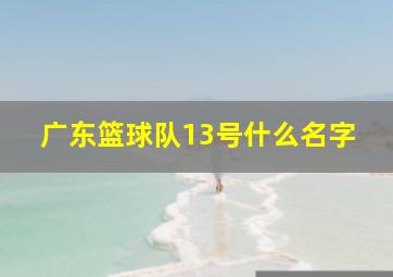 广东篮球队13号什么名字