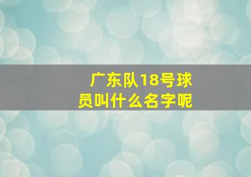 广东队18号球员叫什么名字呢