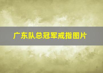 广东队总冠军戒指图片