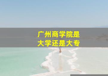 广州商学院是大学还是大专