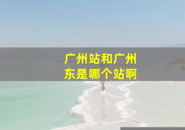 广州站和广州东是哪个站啊