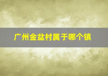 广州金盆村属于哪个镇