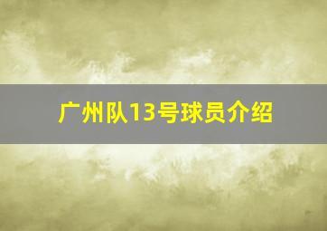 广州队13号球员介绍