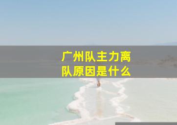 广州队主力离队原因是什么