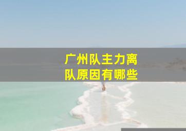 广州队主力离队原因有哪些