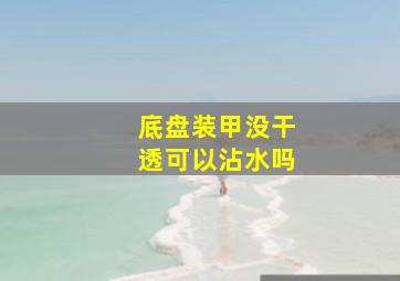 底盘装甲没干透可以沾水吗