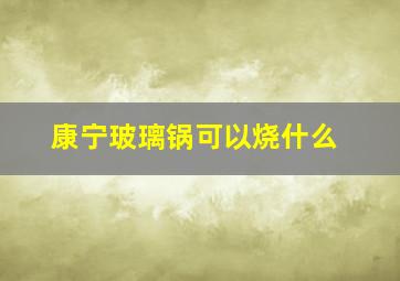 康宁玻璃锅可以烧什么