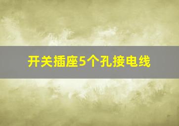 开关插座5个孔接电线